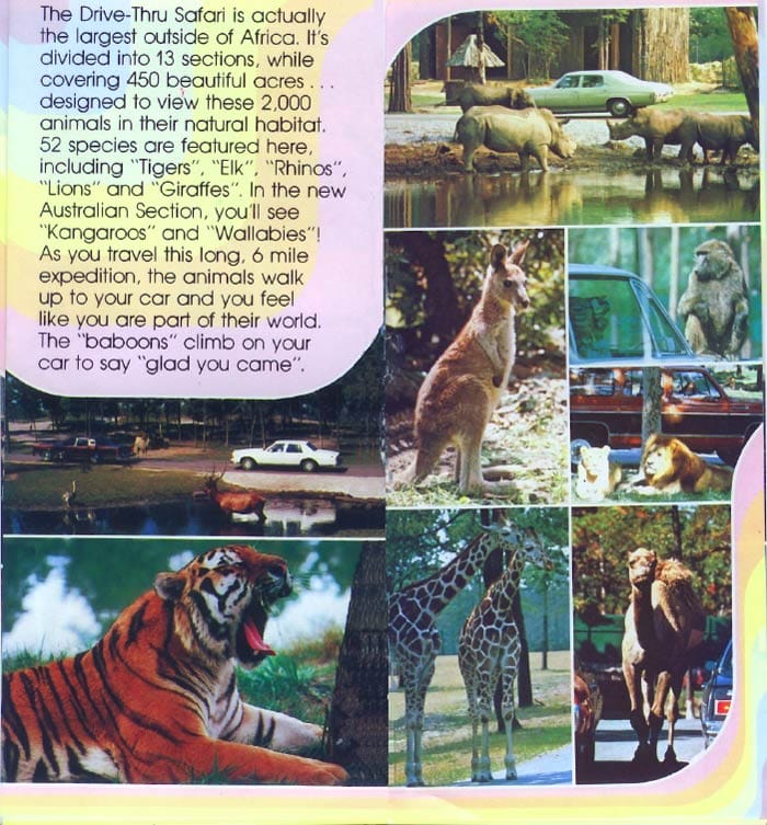 Six Flags Great Adventure Brochure 1979_5