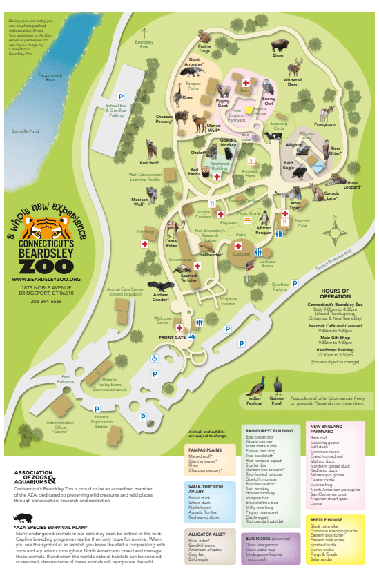 Beardsley Zoo Map and Brochure (2020 2023)