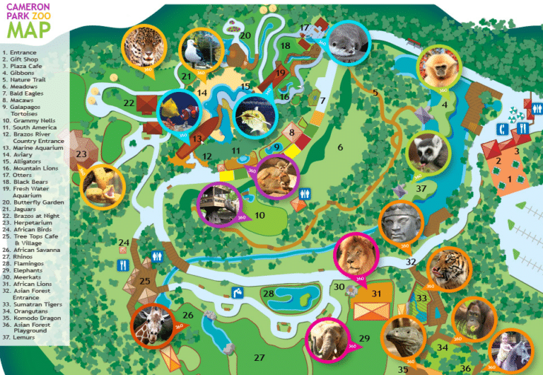 Cameron Park Zoo Map and Brochure (2018 – 2022)