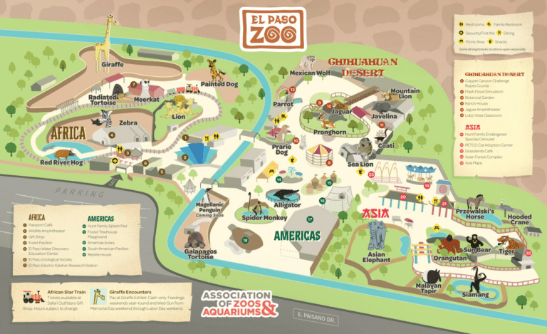 El Paso Zoo Map and Brochure (2018 – 2023)